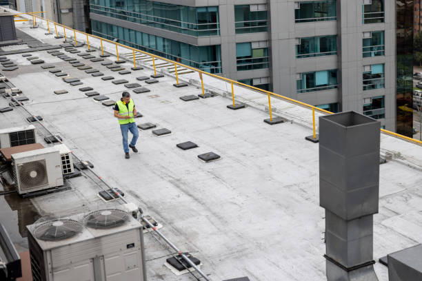 Best Roof Insulation Installation  in Andrews, TX
