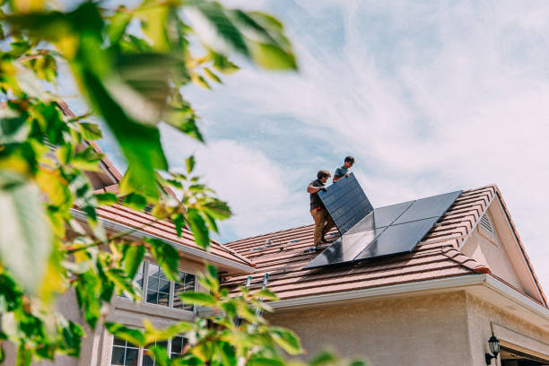Best Roof Moss and Algae Removal  in Andrews, TX